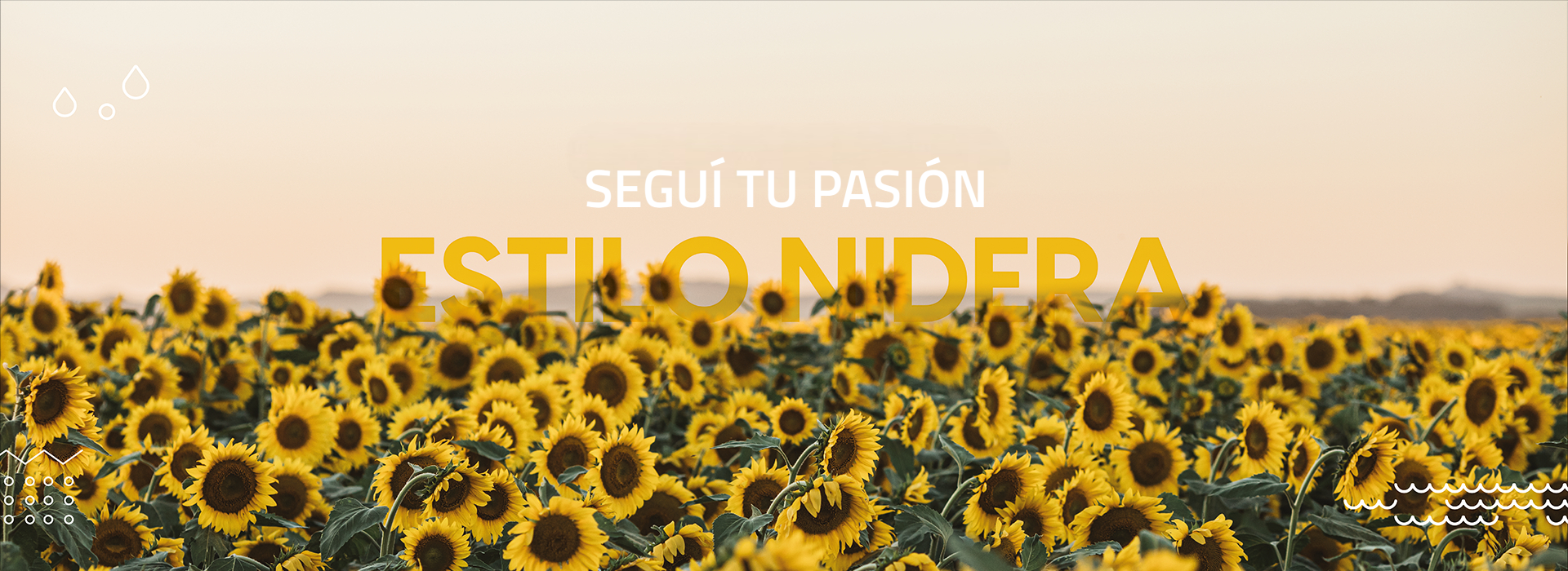 banner_slider_desktop_home_01 (1)