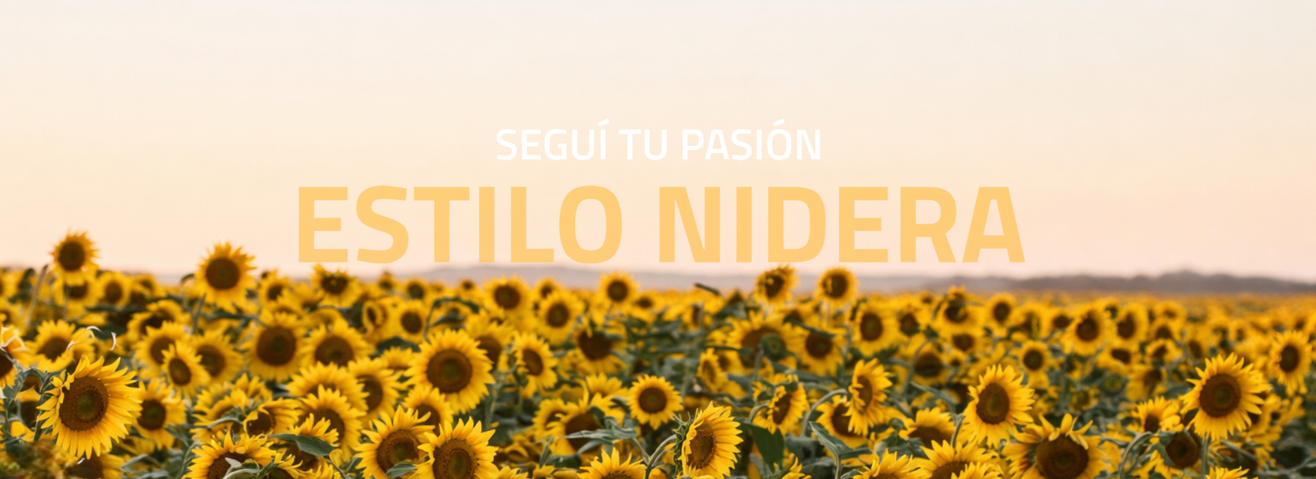 banner_slider_desktop_home_01