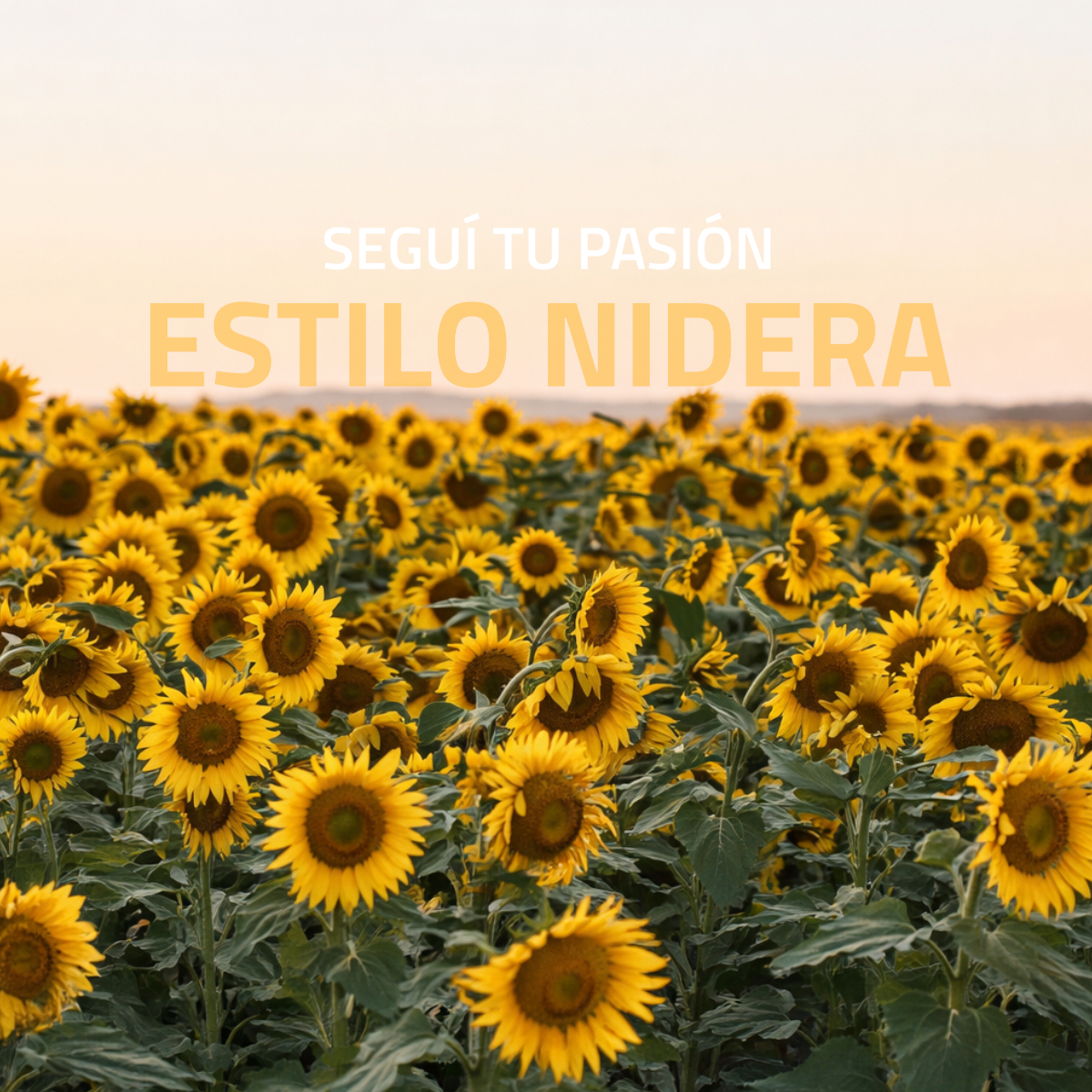 banner_slider_mobile_home_01