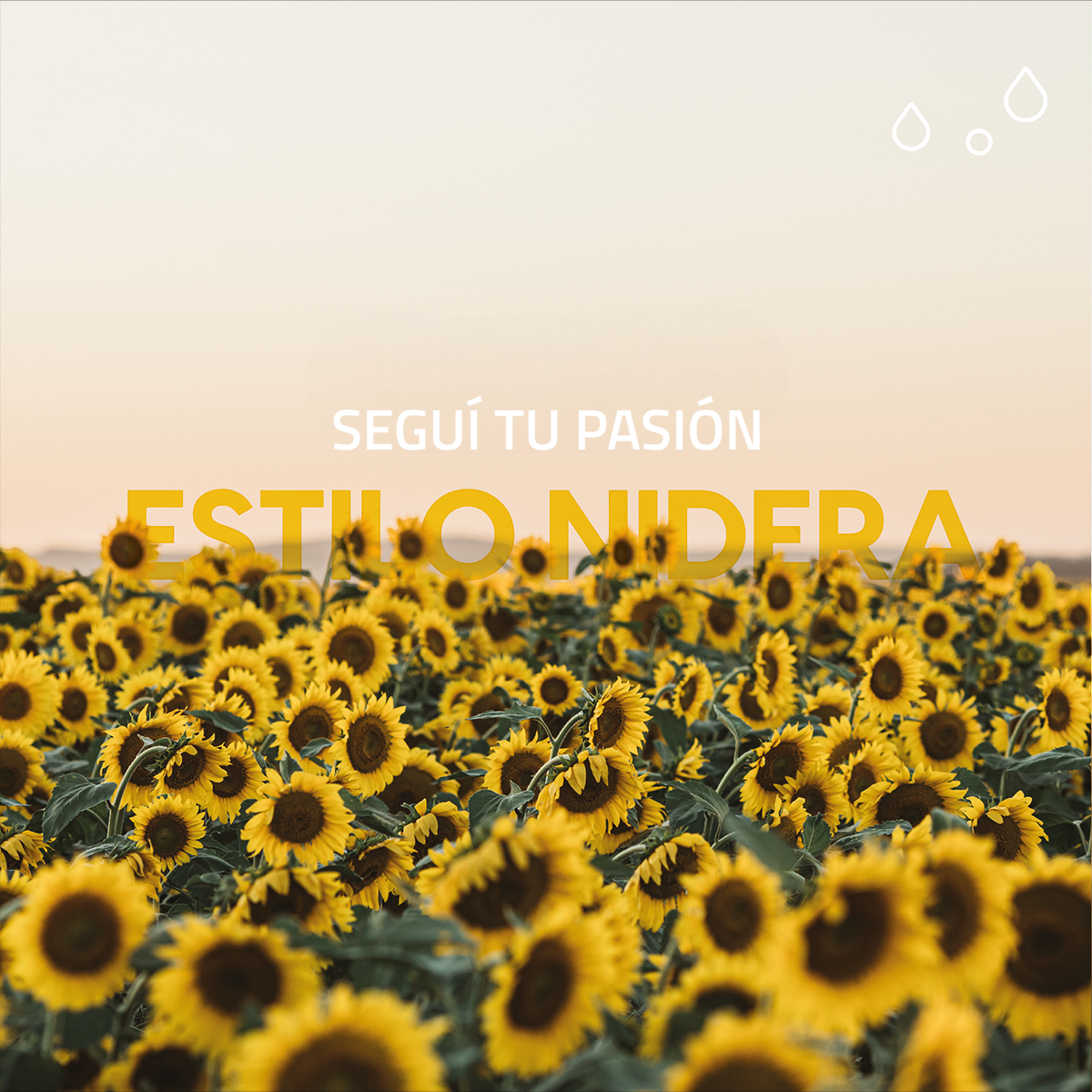 banner_slider_mobile_home_01